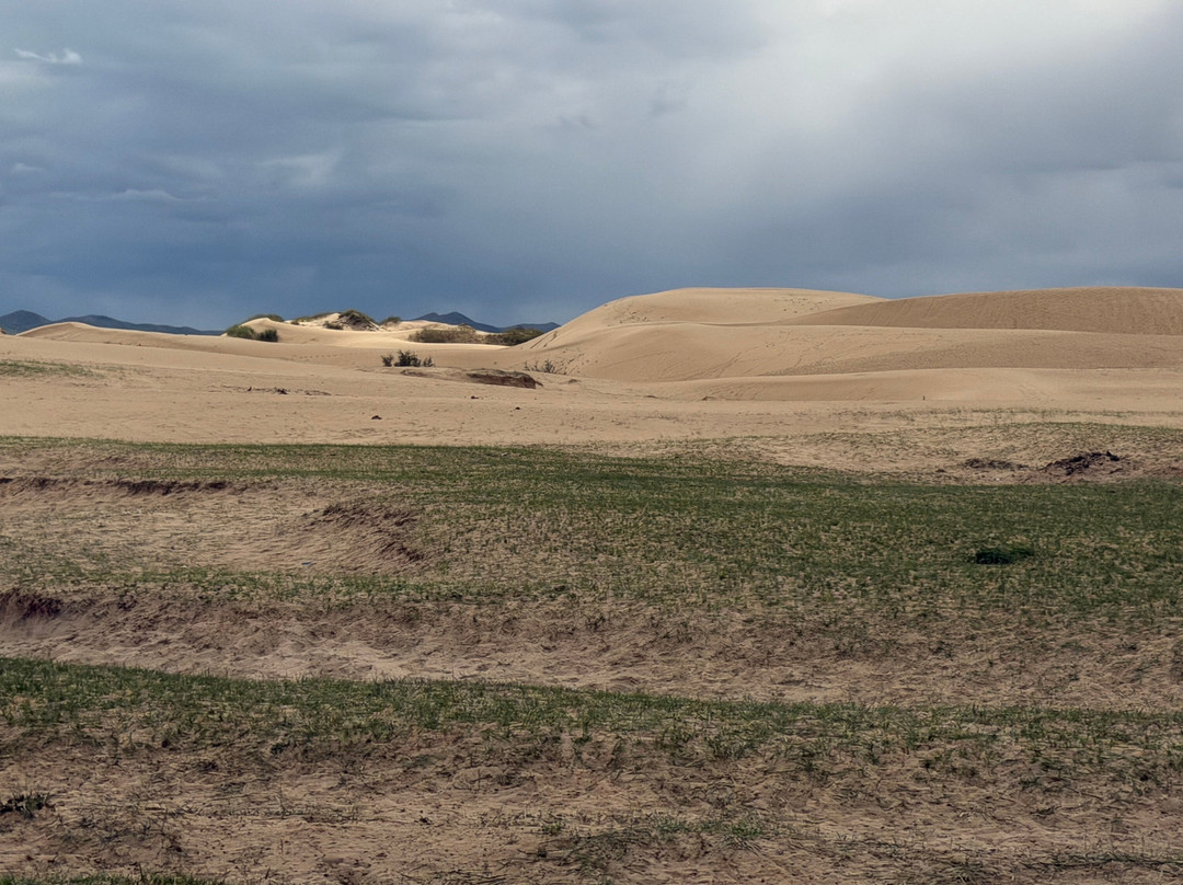 Elsen Tasarkhai Sand Dune-Bulgan必去景点