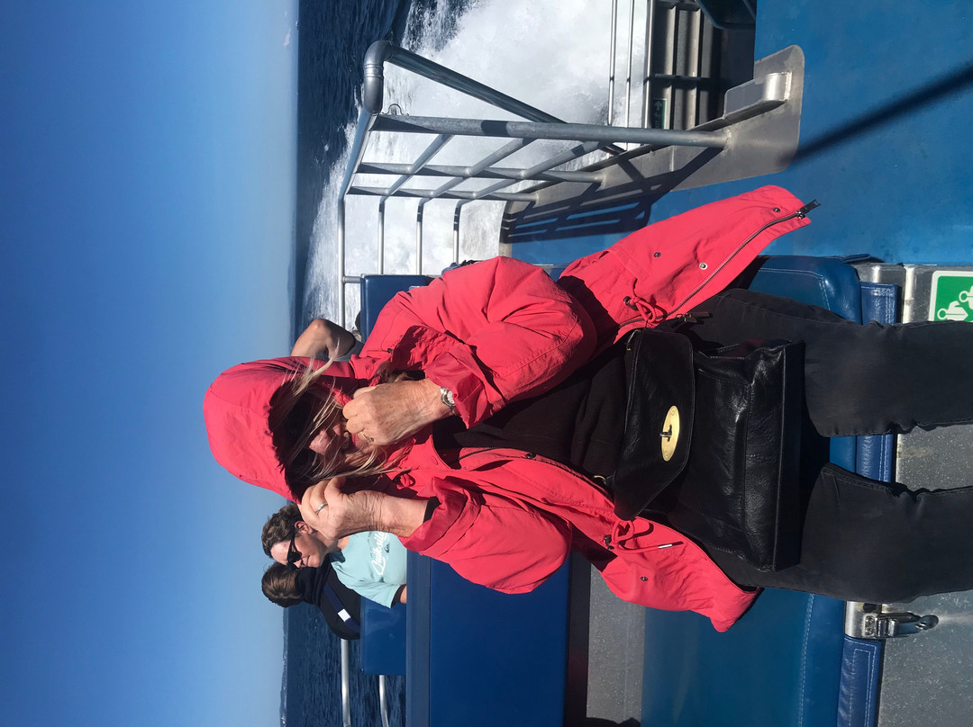 Prince Of Whales Whale Watching-Telegraph Cove必去景点