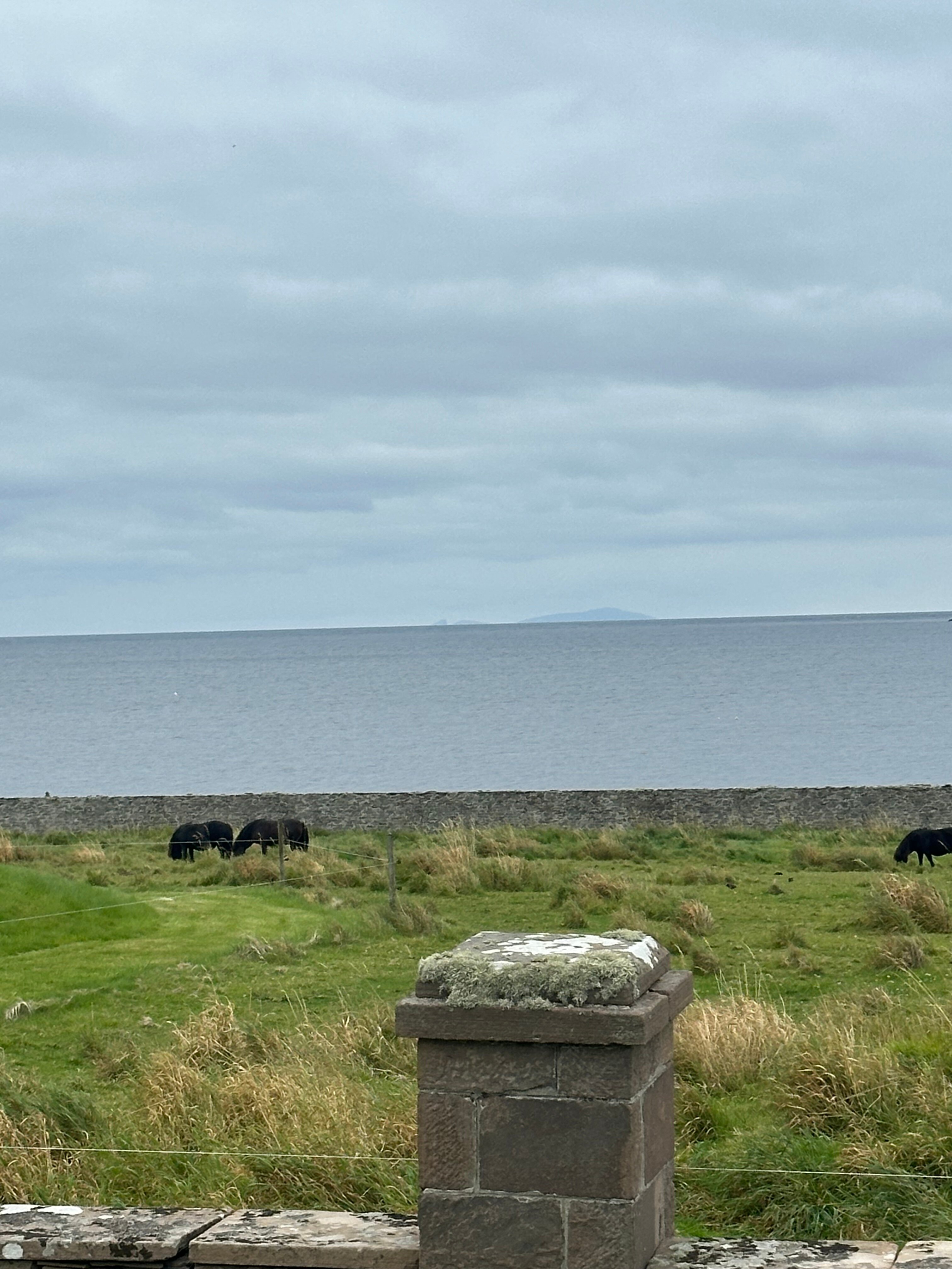 Sumburgh Hotel-旅行者
