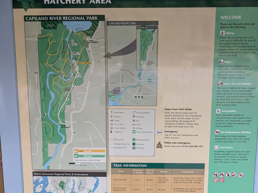 Capilano Salmon Hatchery-北温哥华必去景点