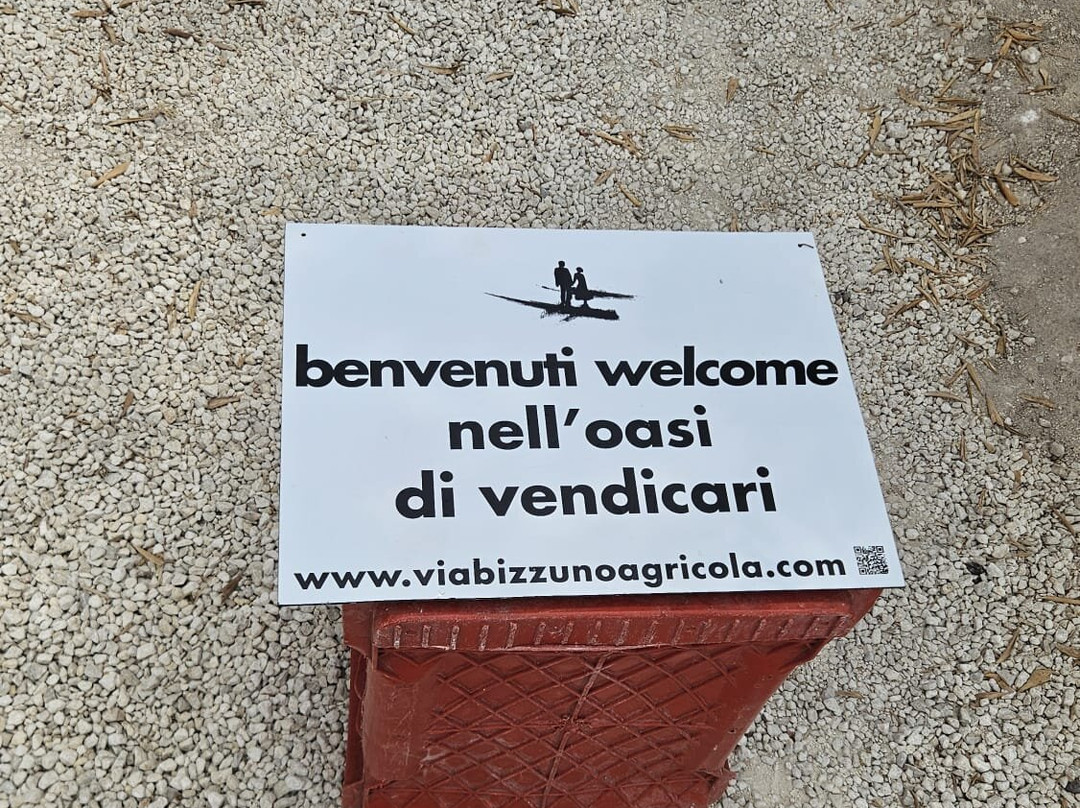 Tenuta Vendicari - viabizzuno agricola