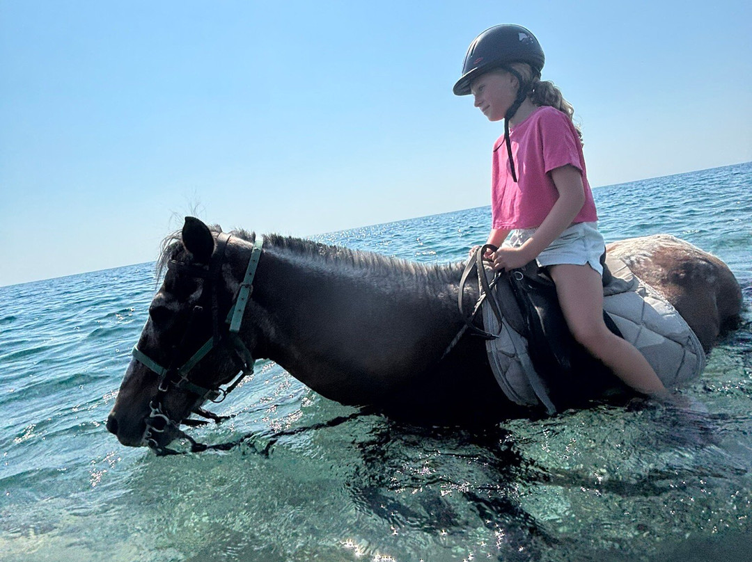 Rocking Horse Ranch-Gennadi必去景点