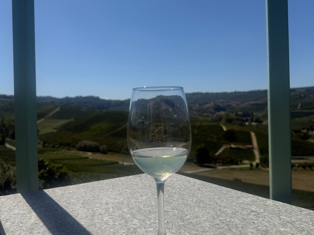 Azienda Agricola Cascina Pugnane S.S. dei F.lli Ghisolfi-Castiglione Falletto必去景点