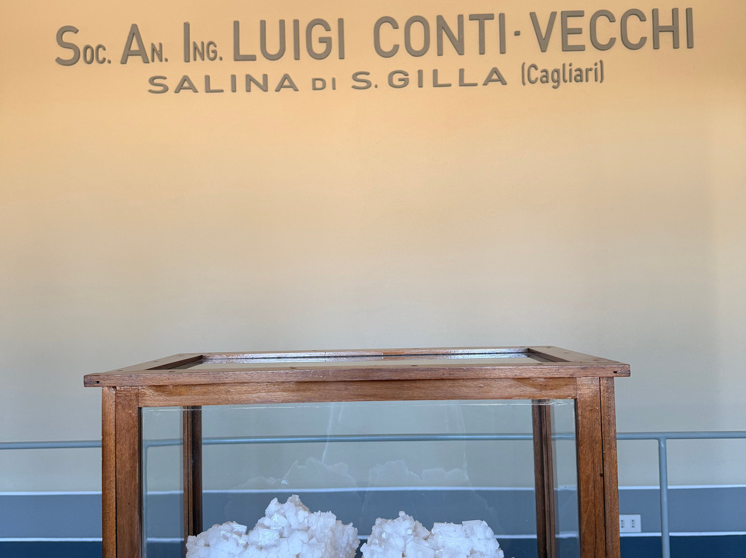 Saline Conti Vecchi-Assemini必去景点