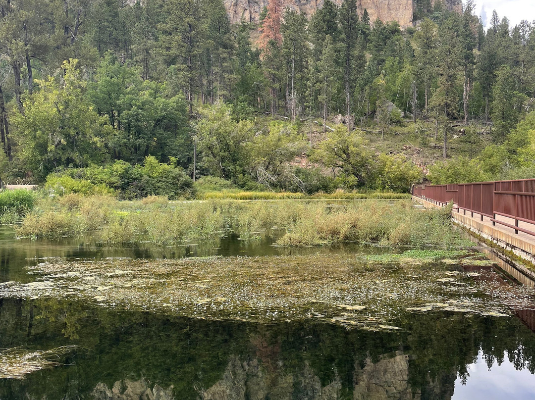 Black Hills Tour Company-拉皮德城必去景点