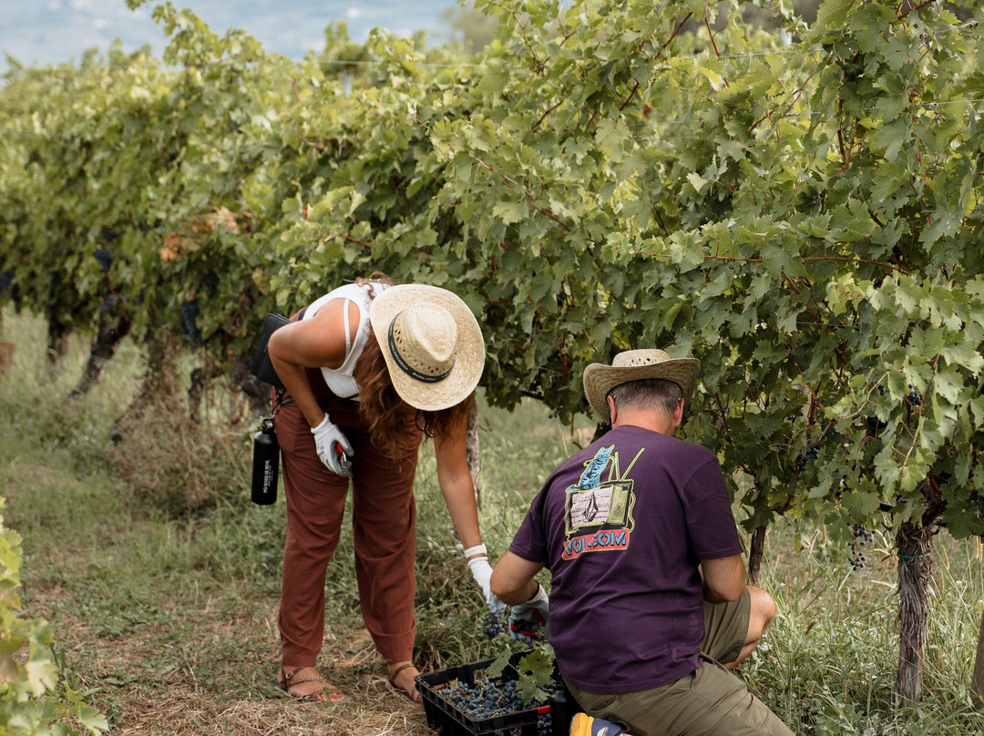 Cantina Buglioni-Corrubbio di Negarine必去景点