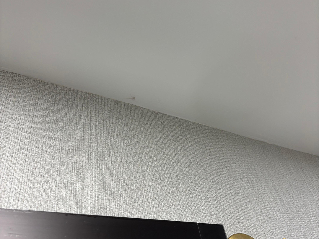 格罗夫市蔚景温德姆酒店主图