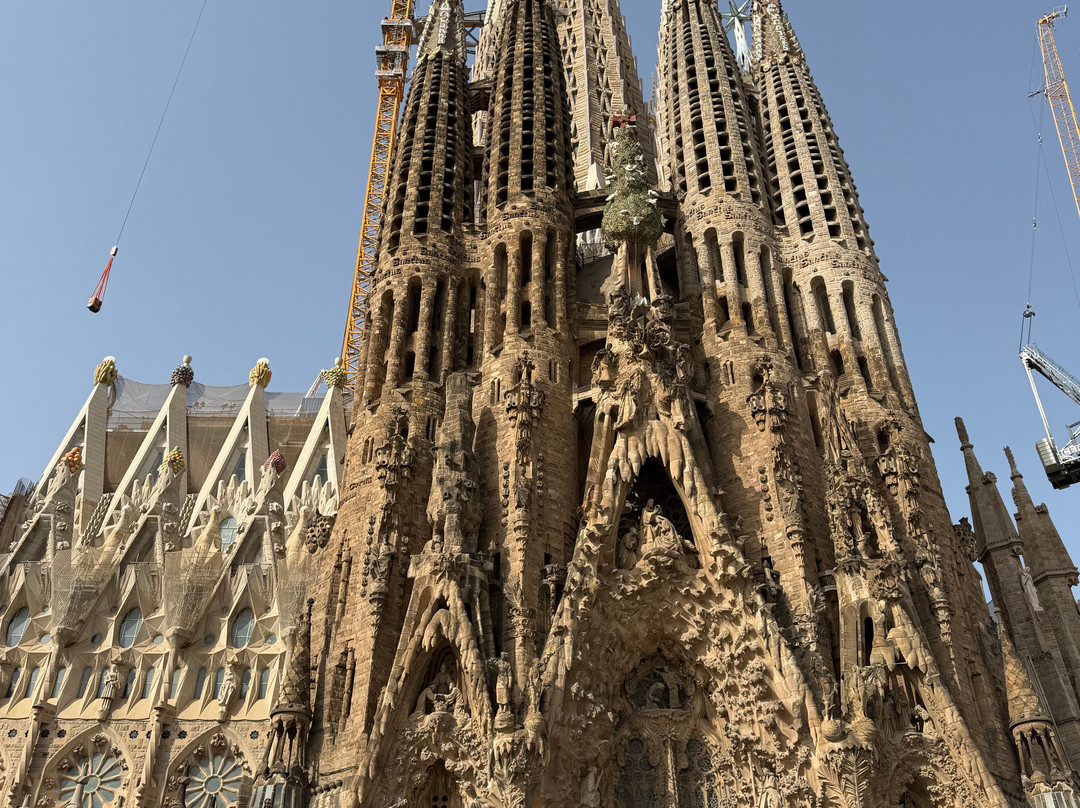 Guia de Turismo Brasileiro em Barcelona-巴塞罗那必去景点