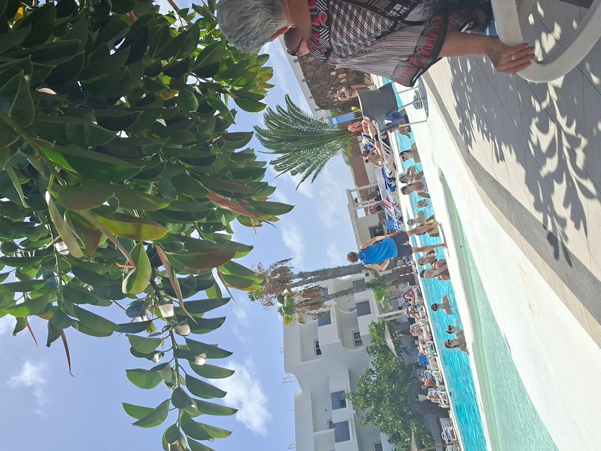 Apartments Ficus-旅行者