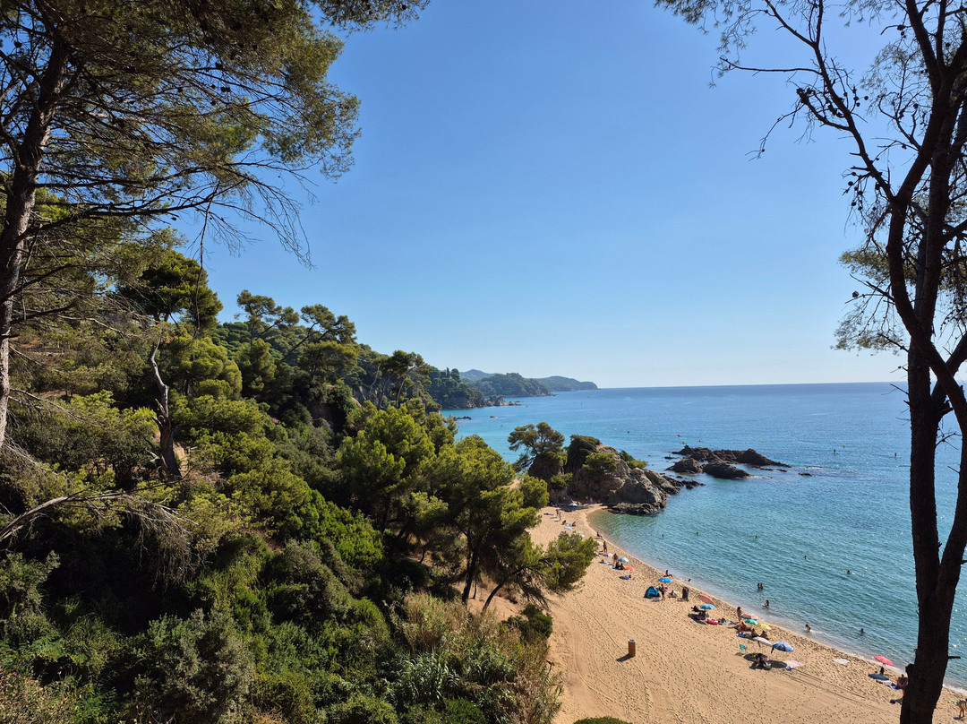 Playa de Santa Cristina-犹兰特德玛必去景点