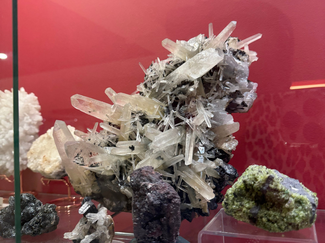 Museum of Mineralogy & Paleontology Stamatiadis-Ialysos必去景点