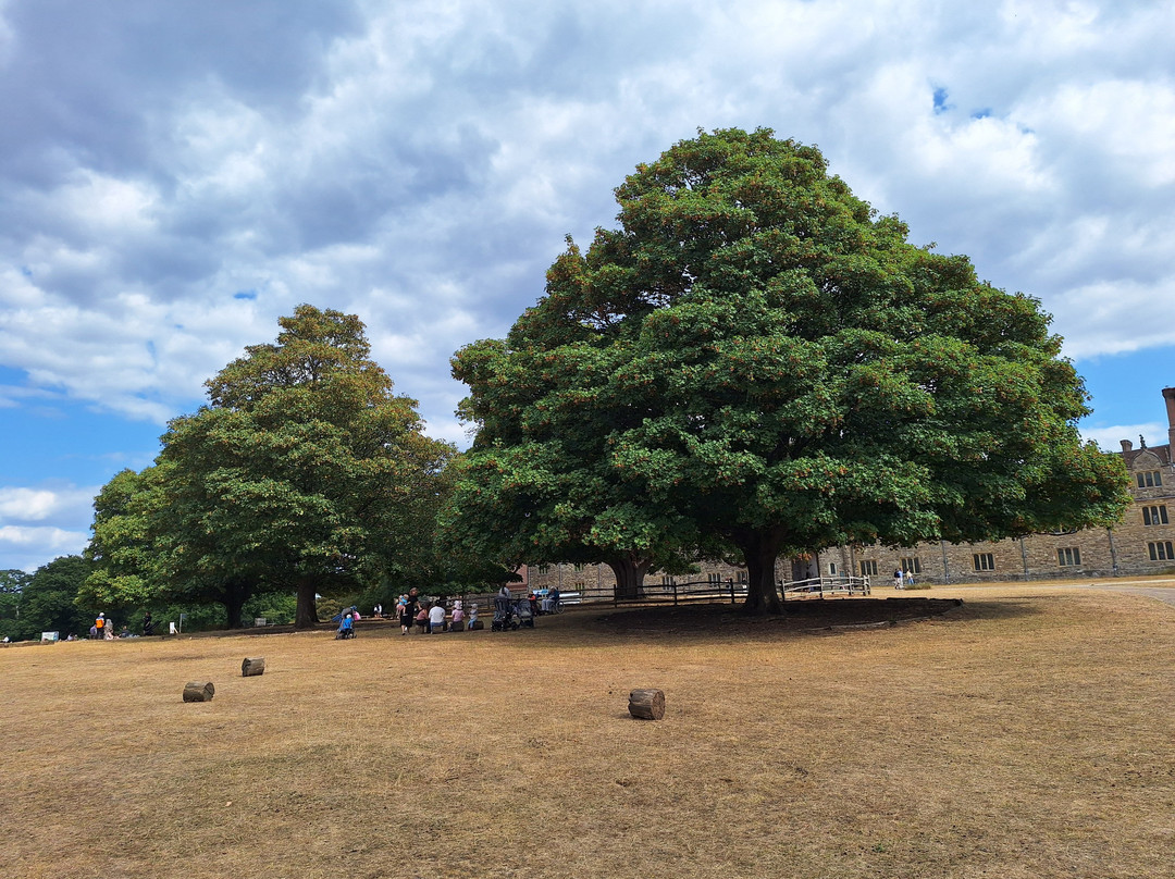Knole Park-Sevenoaks必去景点