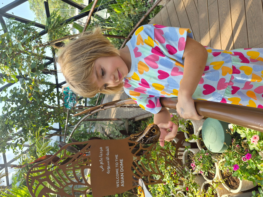 The Butterfly Gardens Abu Dhabi-阿布扎比必去景点