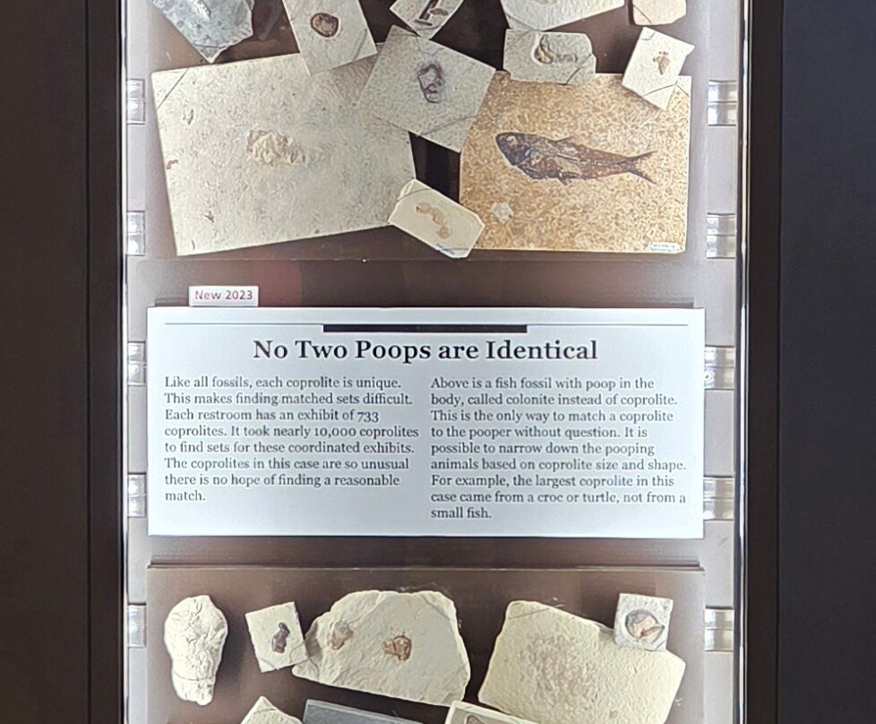 Fossil Butte National Monument-Kemmerer必去景点