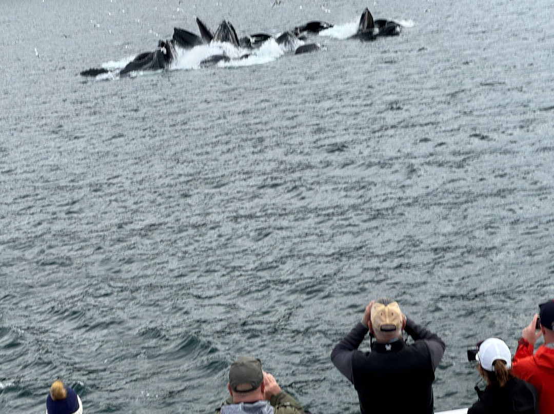 Orca Point Lodge