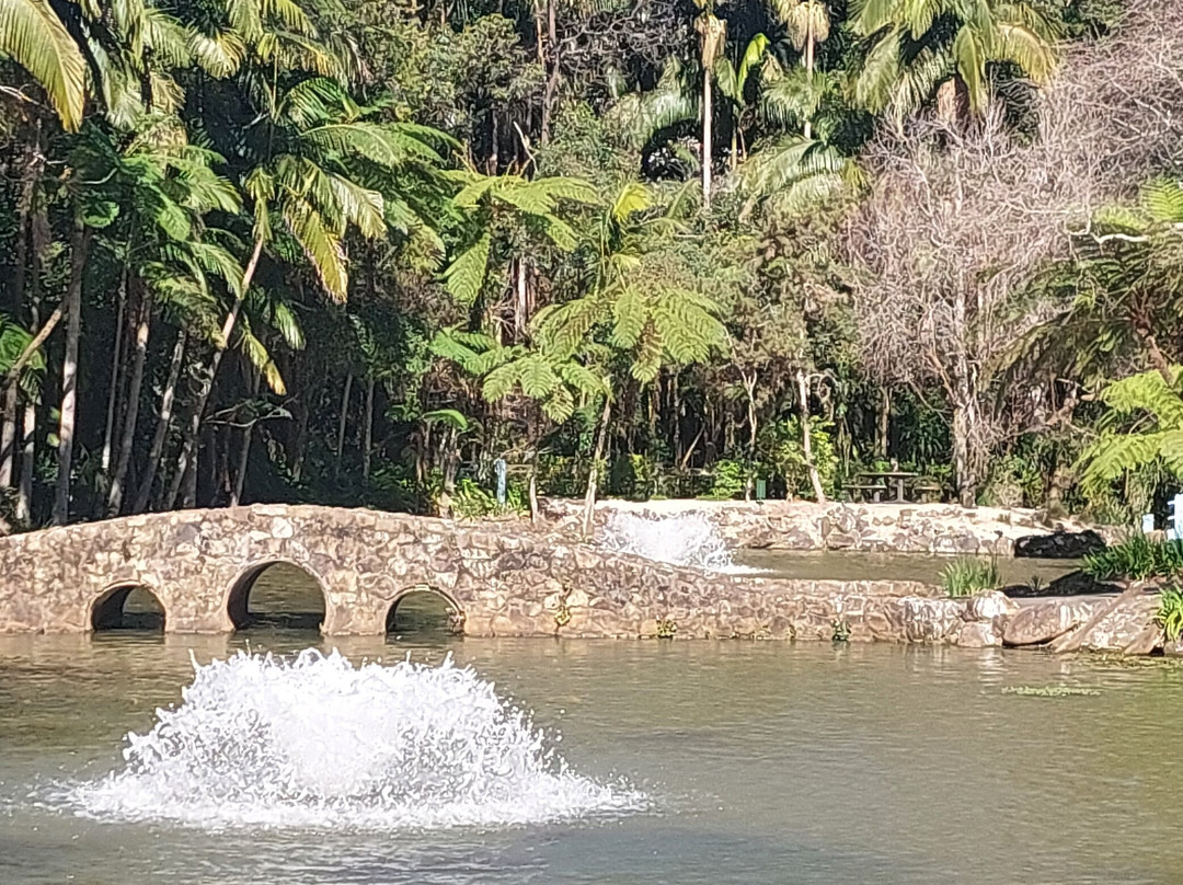 Tamborine Mountain Botanic Gardens-丹百林山必去景点