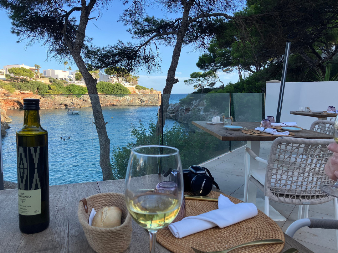 AluaSoul Mallorca Resort - Adults Only主图