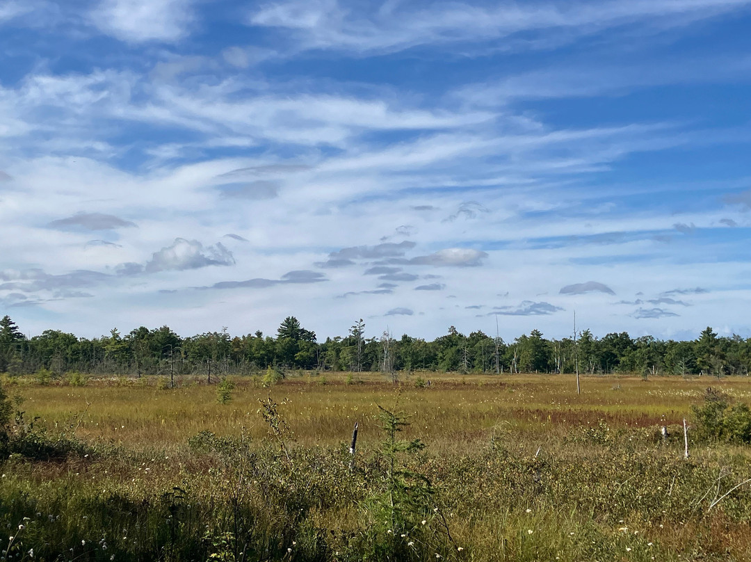 Torrance Barrens Dark-Sky Preserve-Torrance必去景点