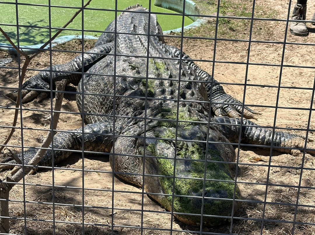 Koorana Crocodile Farm-Coowonga必去景点