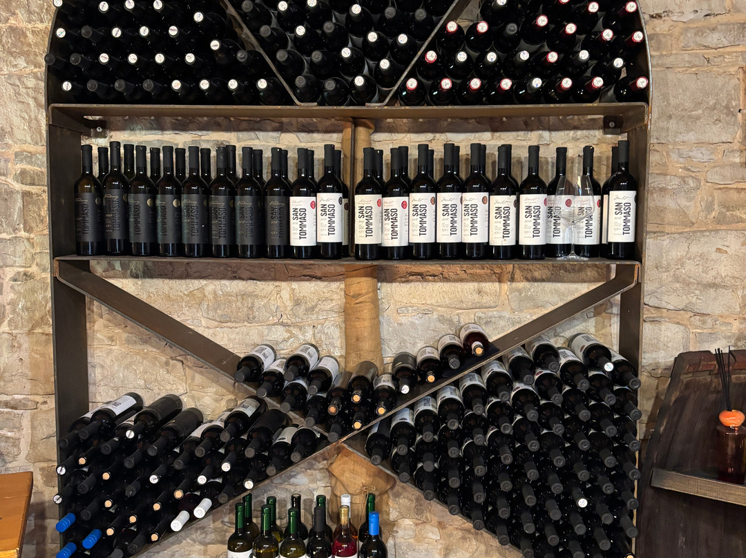 Winery San Tommaso-Bale必去景点