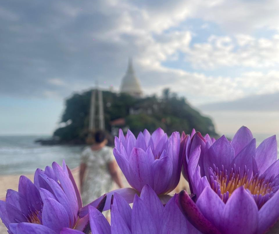 Matara Paravi Duwa Temple-马塔拉必去景点
