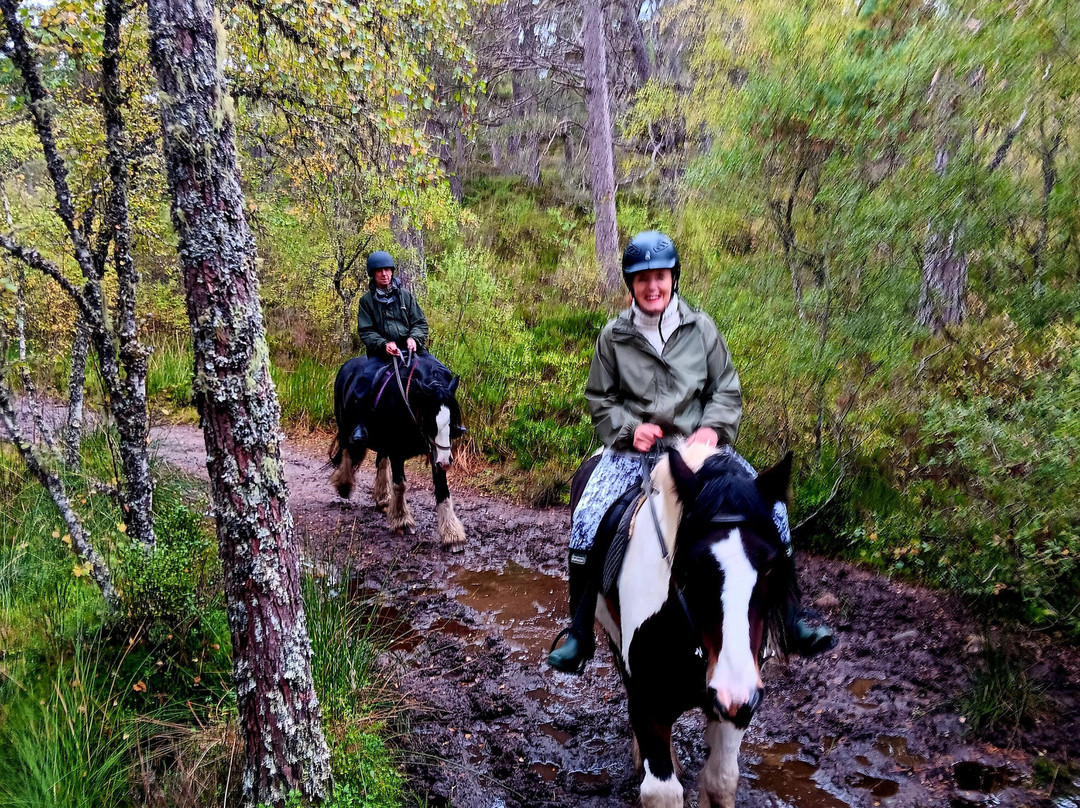 Highland Trekking And Trail Riding-Cannich必去景点