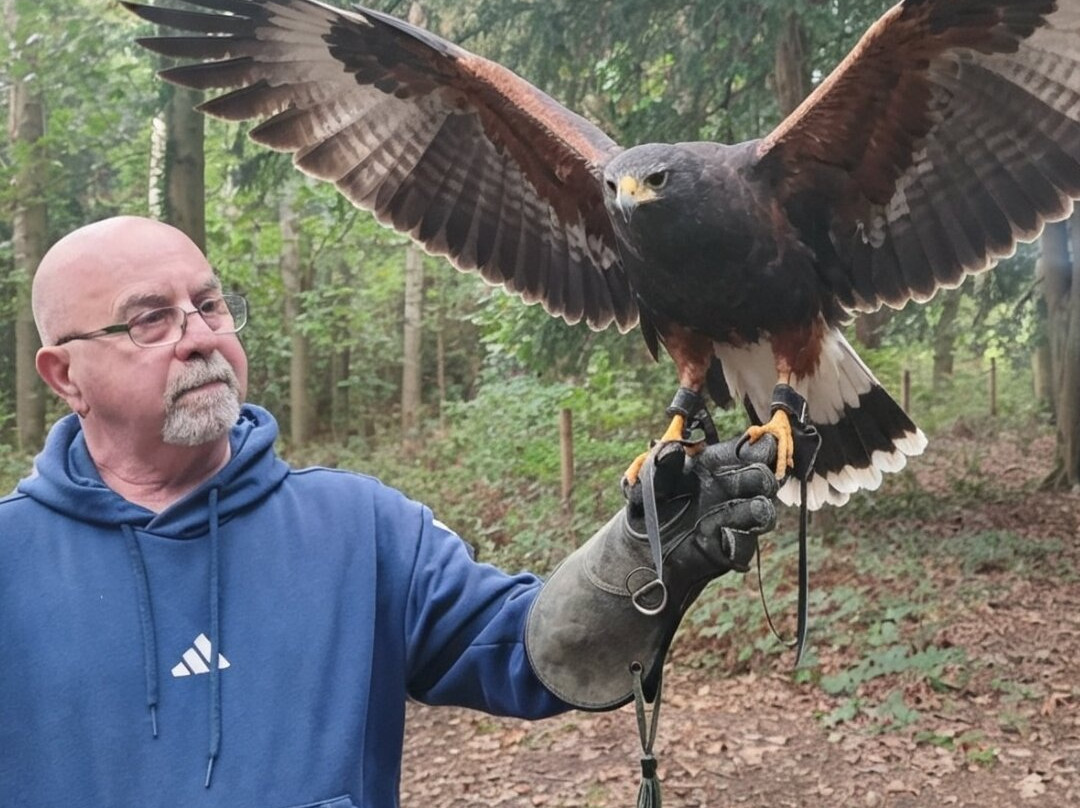 Bird of Prey Experiences - Hawkeye Falconry UK-Thoresby必去景点
