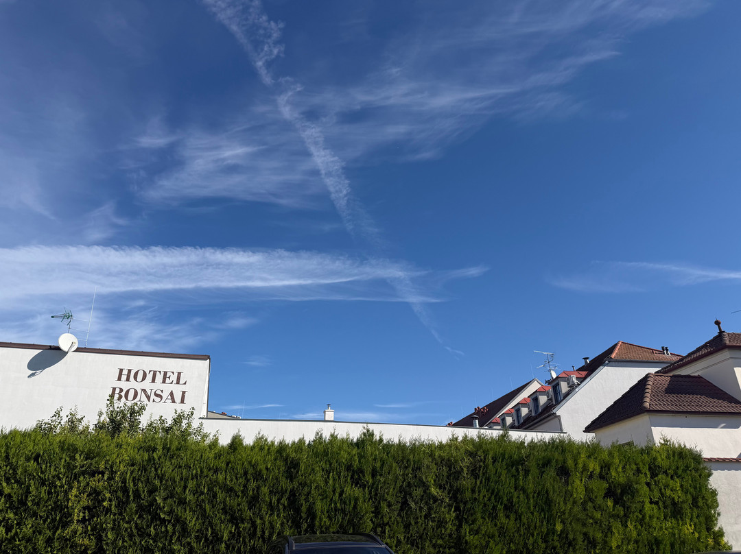 Hotel Bonsai主图