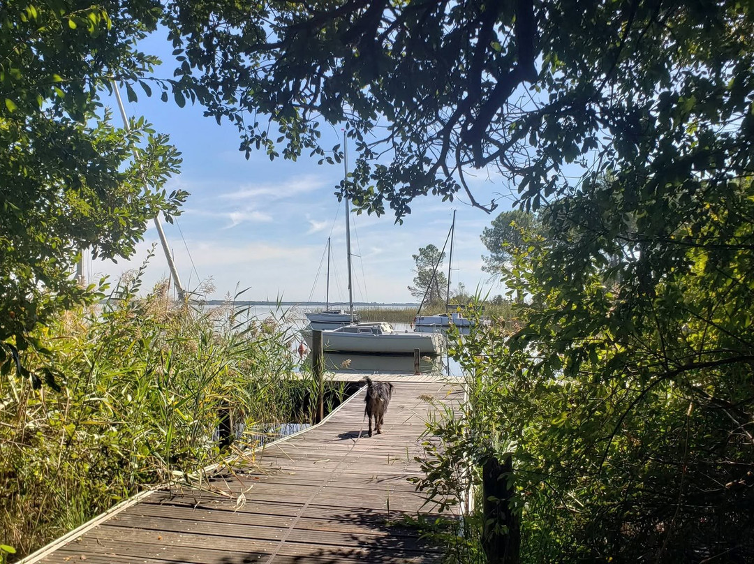 Lac d'Hourtin-Maubuisson必去景点