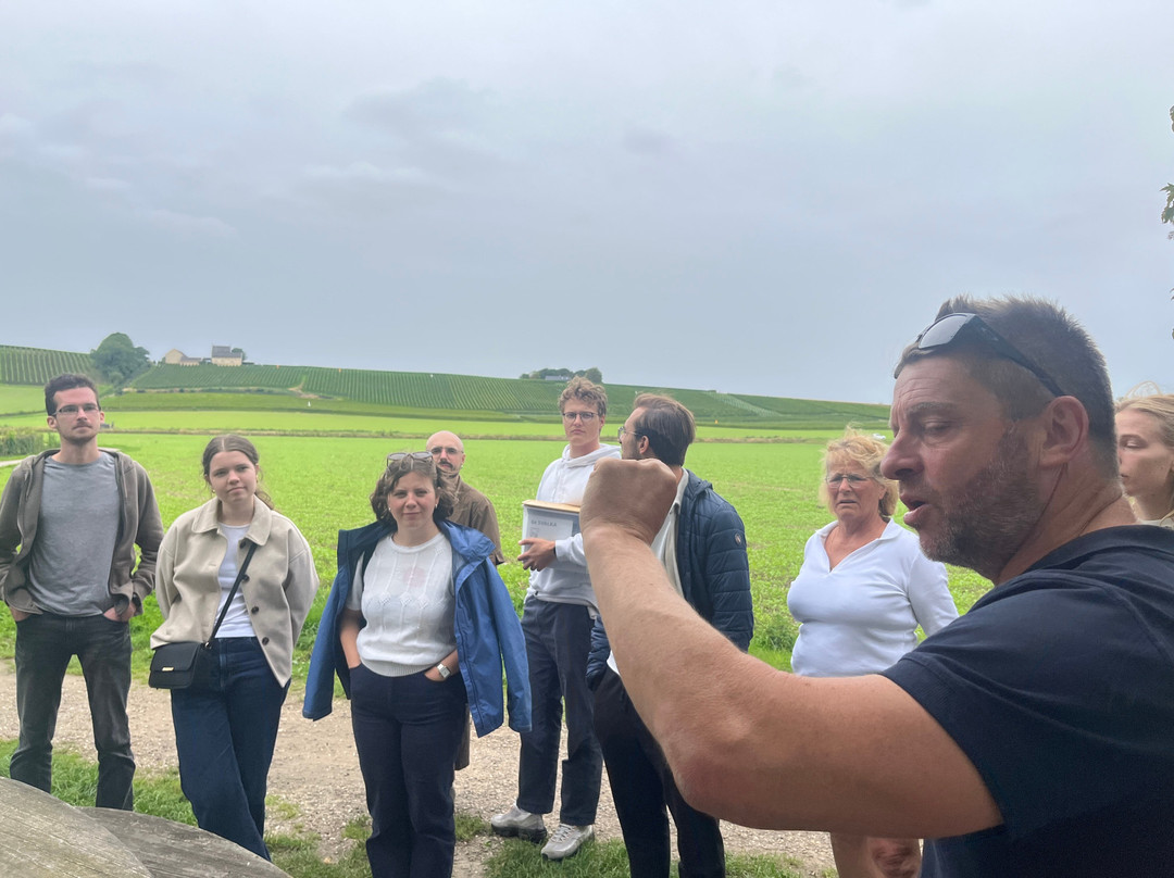 Brut Wines & Tours | Martenslinde-Bilzen必去景点