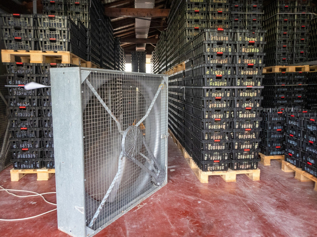 Azienda Agricola Trabucchi-Illasi必去景点