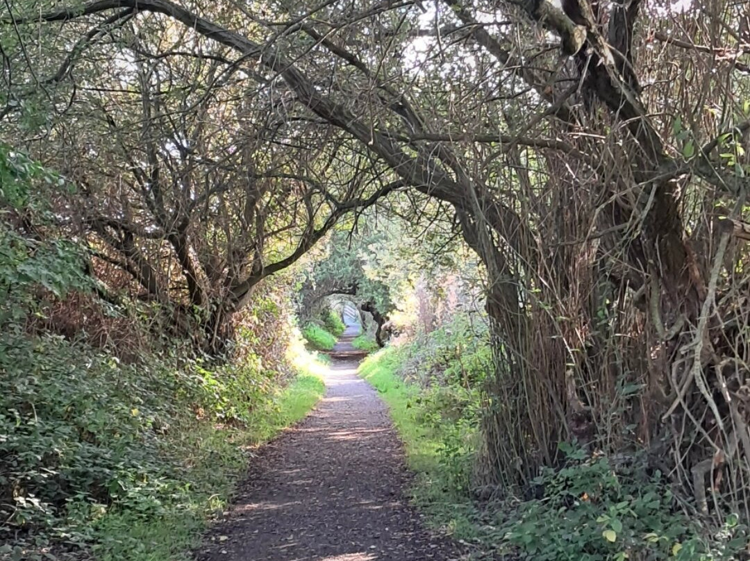 RSPB Burton Mere Wetlands-Neston必去景点