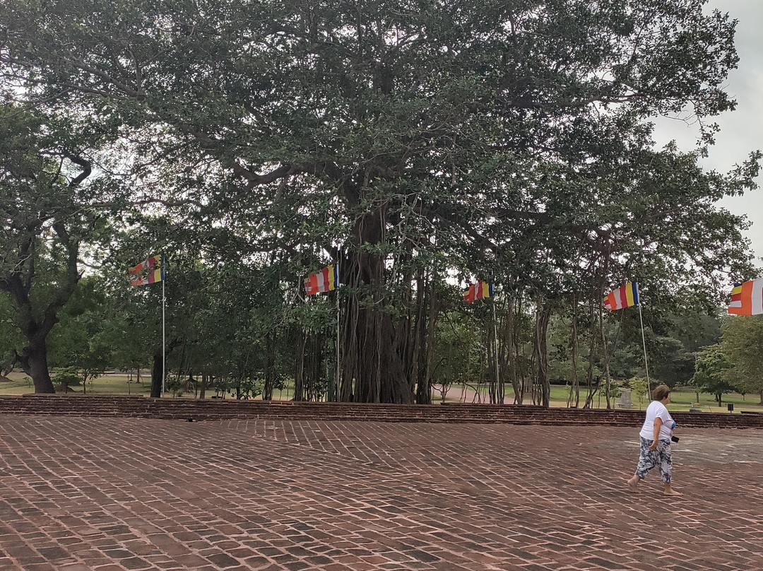 Jethawanaramaya-阿努拉德普勒圣城必去景点