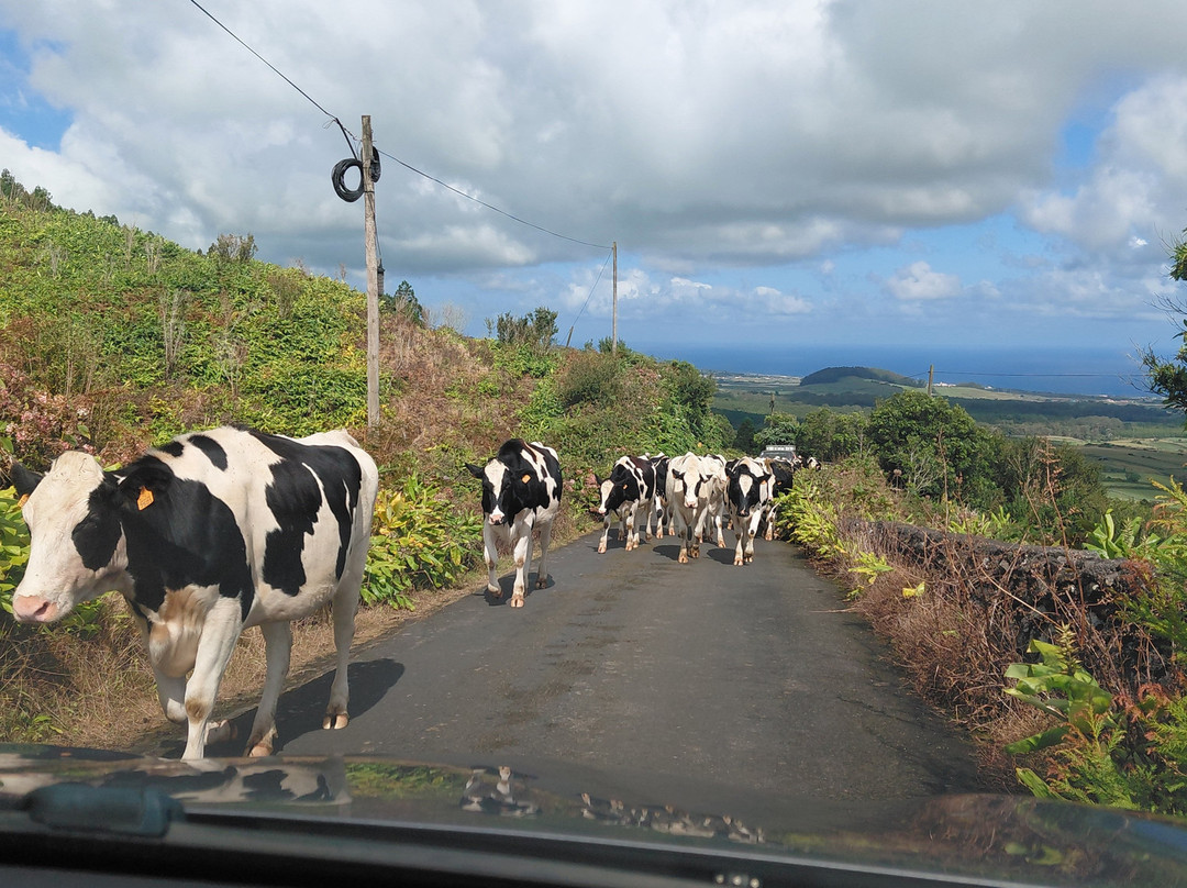 Serra do Cume Viewpoint-Praia da Vitória必去景点