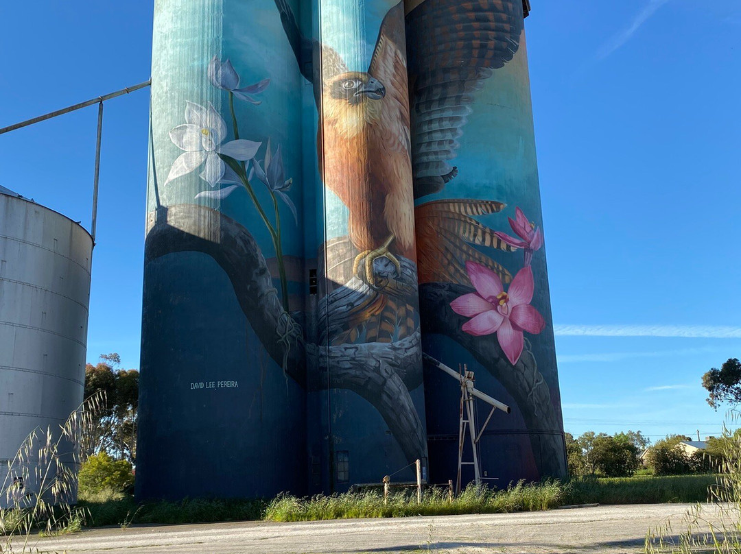 Kaniva Silo Art-Kaniva必去景点