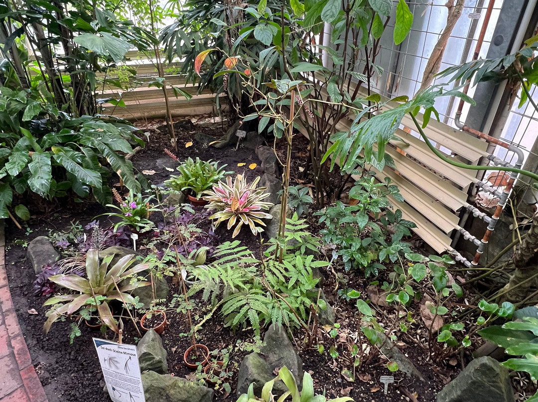 Botanischer Garten-奥尔登堡必去景点