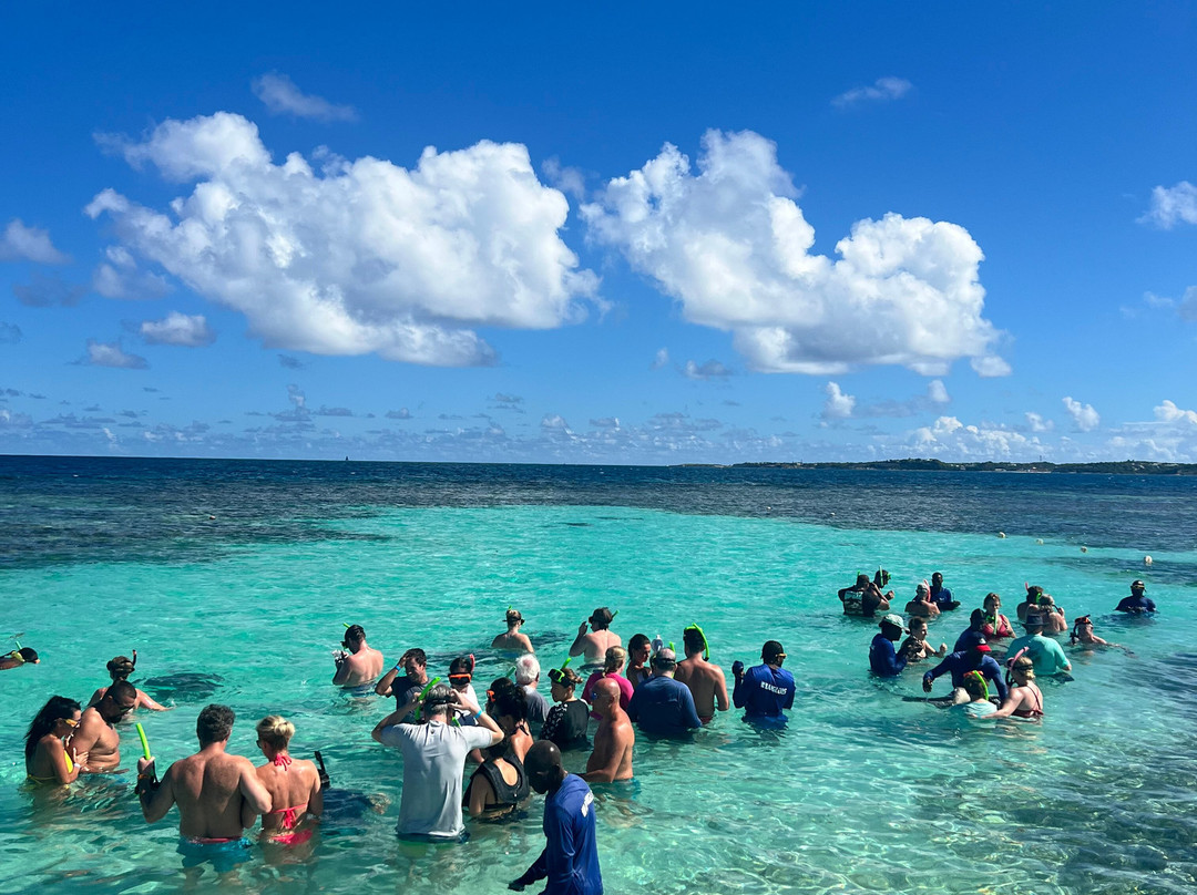 Stingray City-安提瓜必去景点