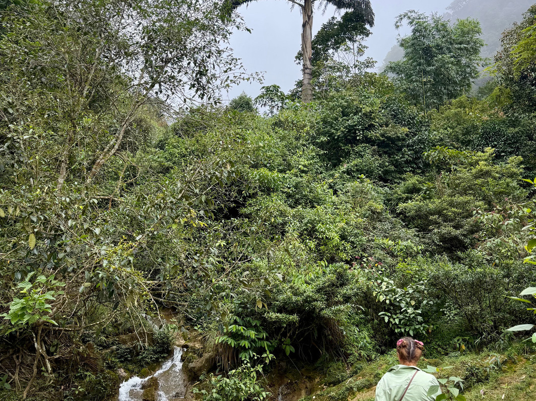 Pang Local Guide Bac Ha-Bac Ha必去景点