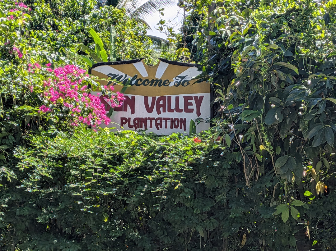 Sun Valley Plantation Hummingbird Garden-奥乔里奥斯必去景点