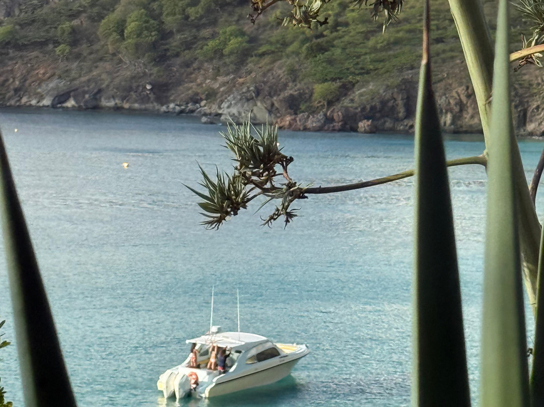 Captain Alan's Boat Charters-Oyster Pond必去景点