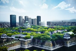 大阪新大谷酒店主图