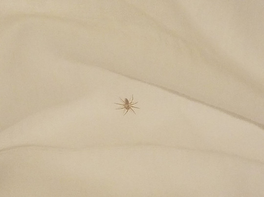 门罗维尔快捷假日酒店