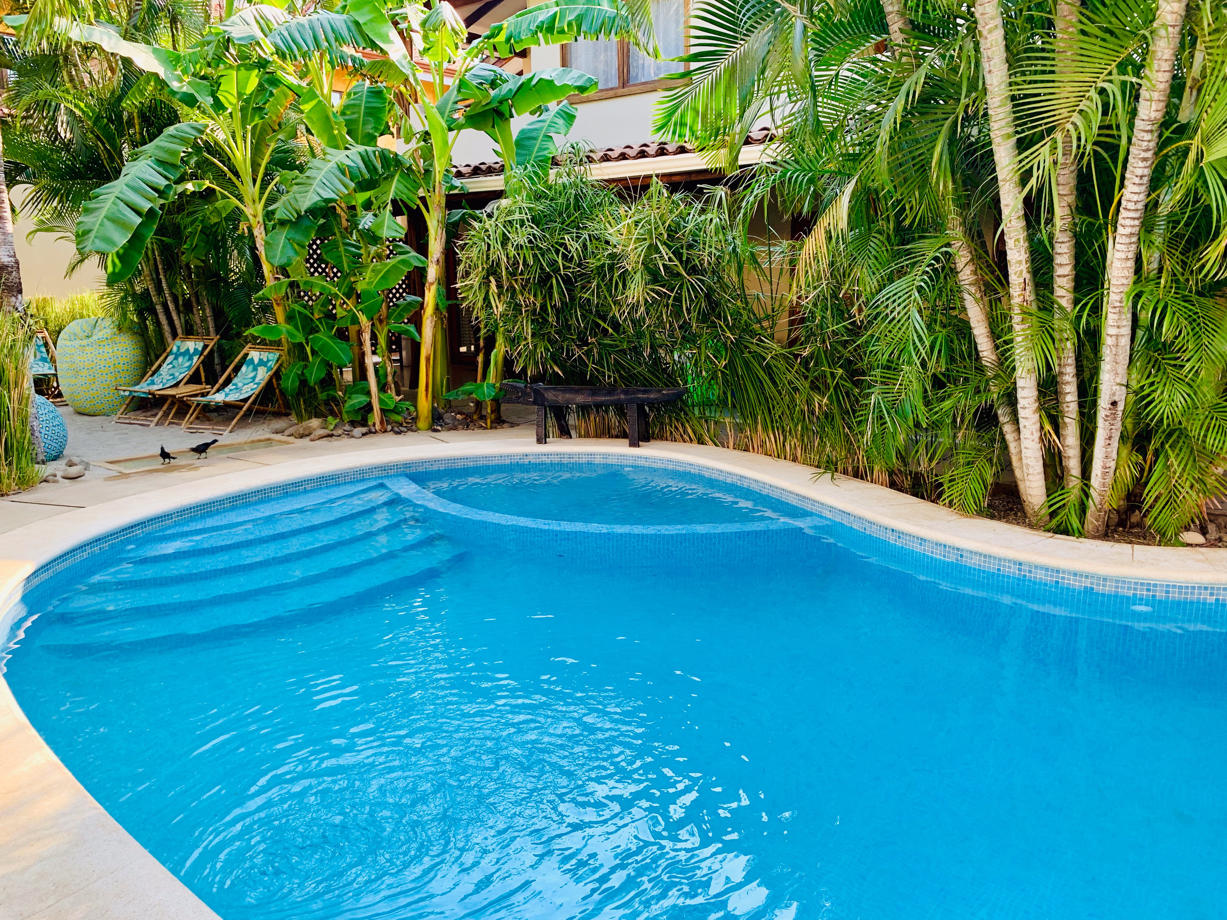 Ten North Tamarindo Beach Hotel-官方