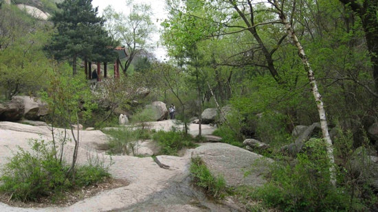 赤城县旅游景点-松山森林旅游区