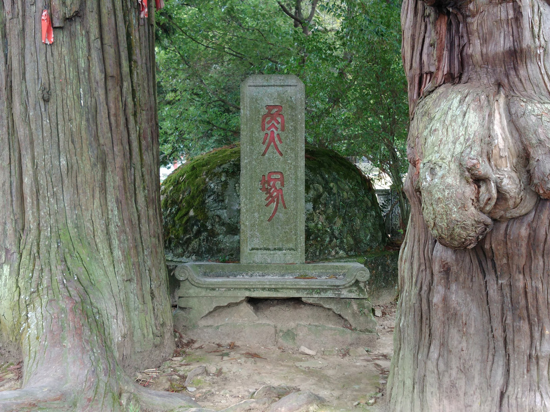 宁德周宁鲤鱼溪-周宁县必去景点