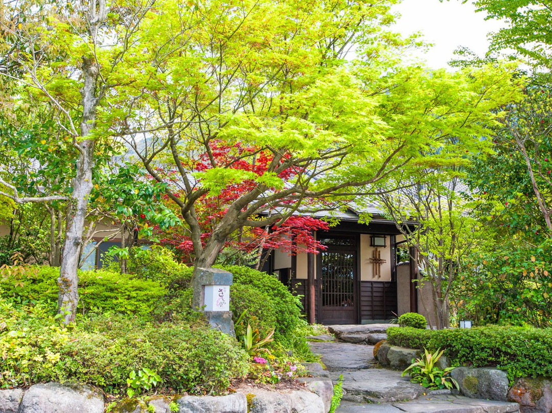 由布院温泉御宿樱花亭
