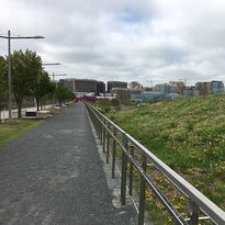 Long Bridge Park-阿灵顿必去景点