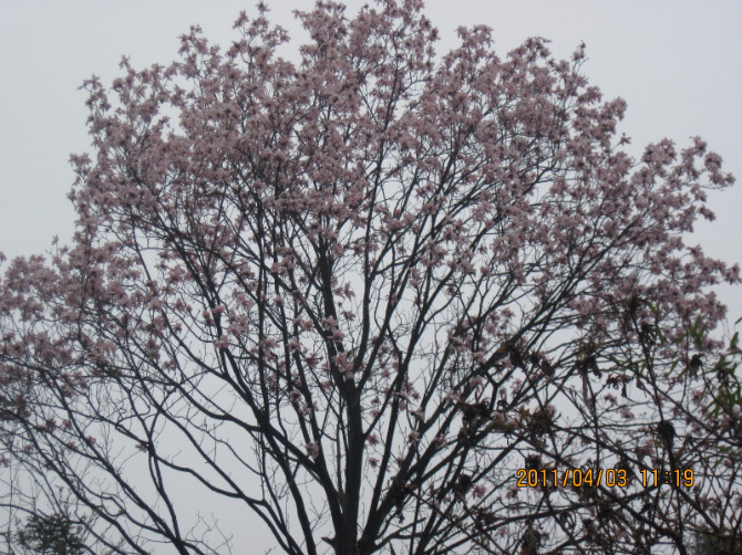 四川大学博物馆-成都必去景点