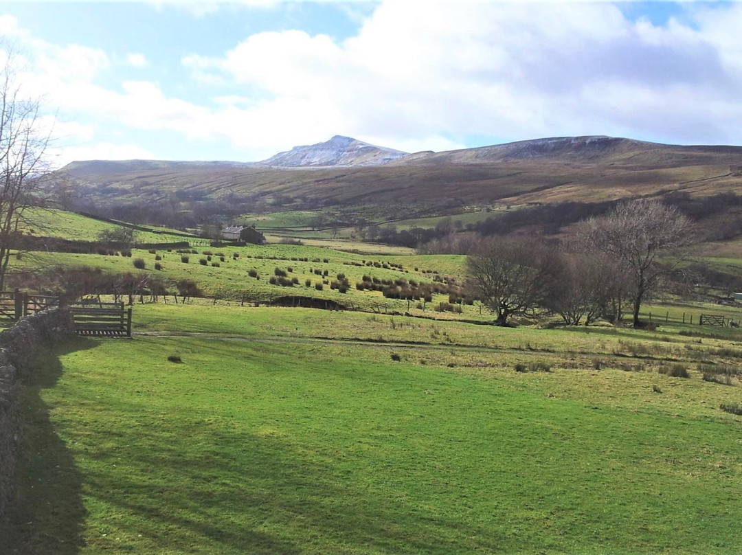 Pendragon View
