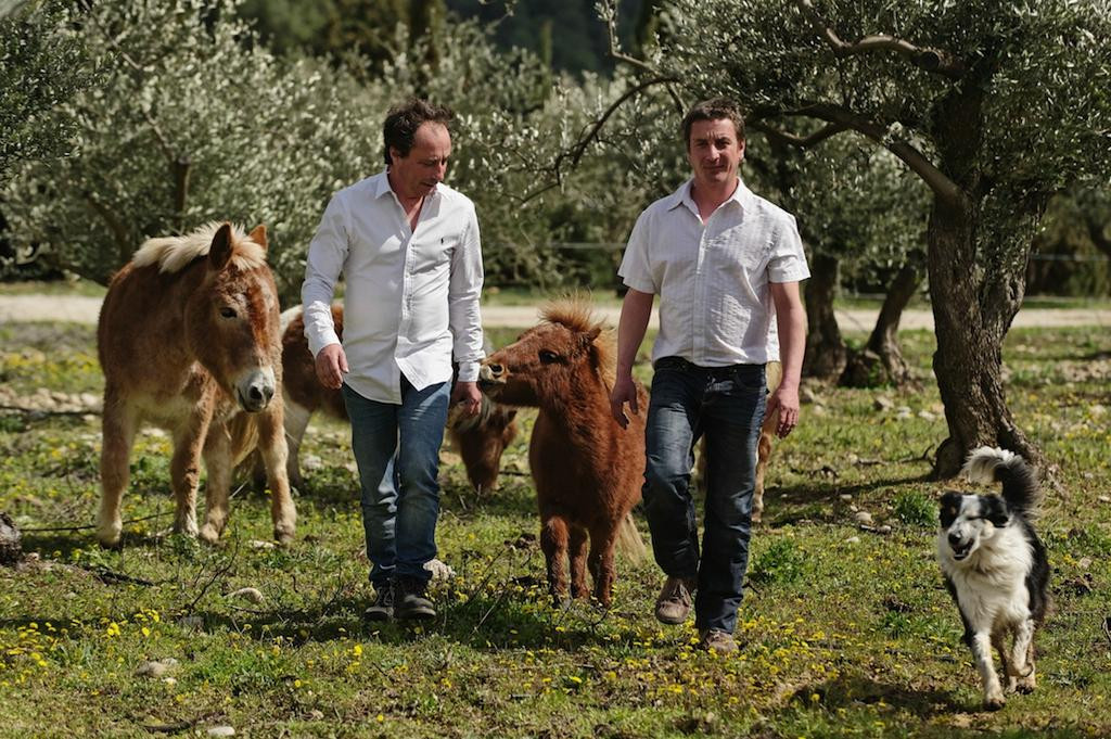 Domaine De L'oulivie景点图片